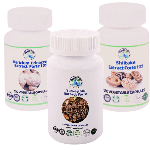 Lion's Mane, Turkey Tail, and Shiitake – Natural Supplement for Gastric Health and Balance