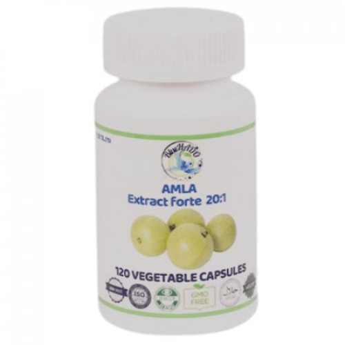 Amla Extract 20:1