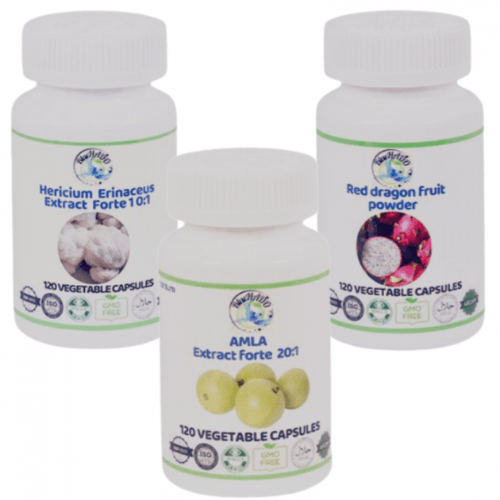 ExcreGuard Triple – Natural Support for the Excretory System With concentrated extracts of Lion's Mane, Red Dragon Fruit and Amla