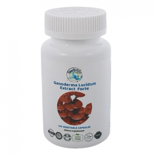 Ganoderma Extract  10:1
