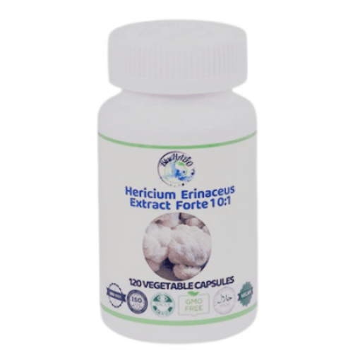 Lion’s Mane Extract