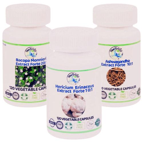 Lion's Mane, Bacopa Monnieri, and Ashwagandha – Natural Supplement for Neuronal Health and Motor Function Support