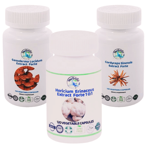 Natural Detox with Strong Extracts of Cordyceps, Lion's Mane, and Reishi – Effective Toxin Elimination