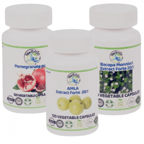 RespiGuard Forte – Natural Support for the Respiratory System With Standardized Extracts of Amla, Bacopa and Pomegranate