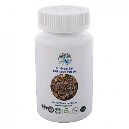 Coriolus  Extract 10:1