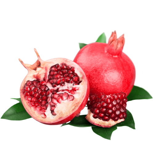 Shiitake Extract Forte is more than just an immune booster. Thanks to its high concentration of active compounds, it supports multiple vital systems in the body — including immunity, detoxification, energy metabolism, and cognitive health.