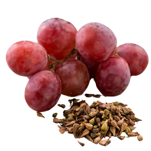 Shiitake Extract Forte is more than just an immune booster. Thanks to its high concentration of active compounds, it supports multiple vital systems in the body — including immunity, detoxification, energy metabolism, and cognitive health.