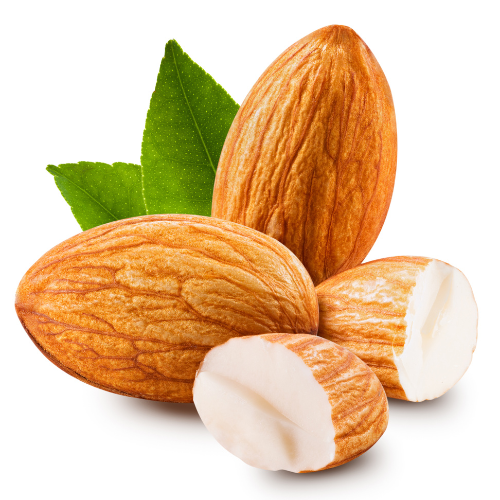 Shiitake Extract Forte is more than just an immune booster. Thanks to its high concentration of active compounds, it supports multiple vital systems in the body — including immunity, detoxification, energy metabolism, and cognitive health.